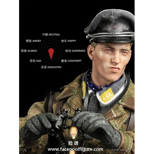 1/6 D-001 Expression Head – Caucasian Disgusted