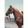 1/6 Brown WWII German War Horse (Standing)