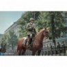 1/6 Brown WWII German War Horse (Standing)