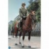 1/6 Brown WWII German War Horse (Standing)