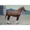 1/6 Brown WWII German War Horse (Standing)