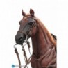 1/6 Brown WWII German War Horse (Standing)