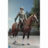 1/6 Brown WWII German War Horse (Standing)