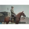 1/6 Brown WWII German War Horse (Standing)