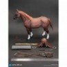 1/6 Brown WWII German War Horse (Standing)