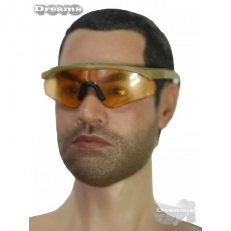 1/6 Lentes Sawfly Easy & Simple