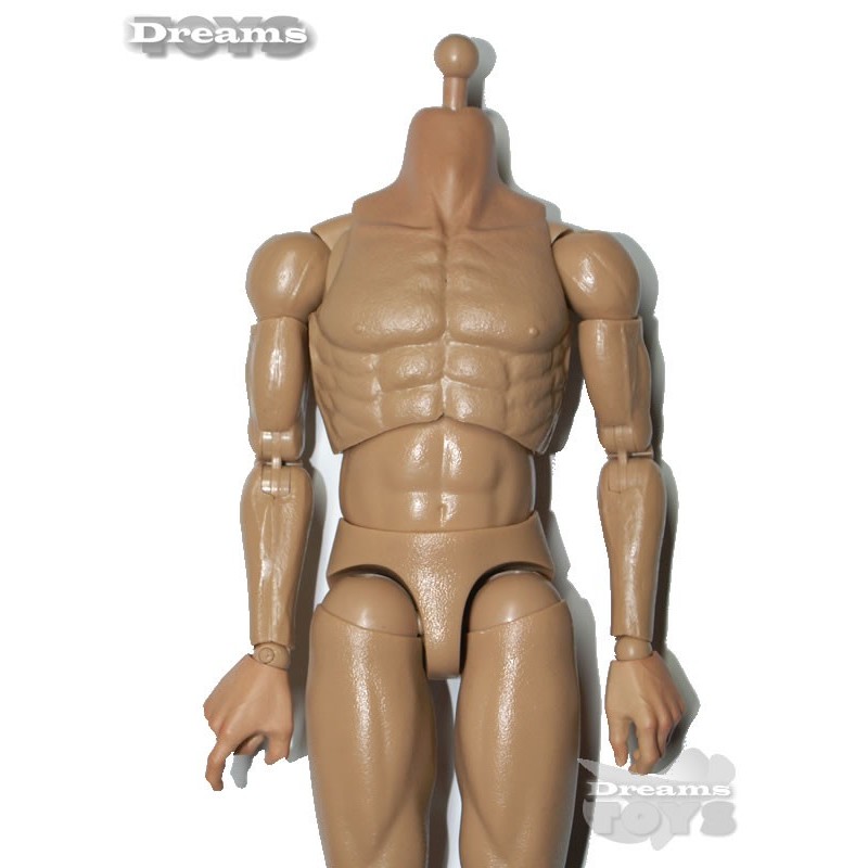 1/6 Cuerpo Dam Toys