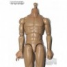 1/6 Cuerpo Dam Toys