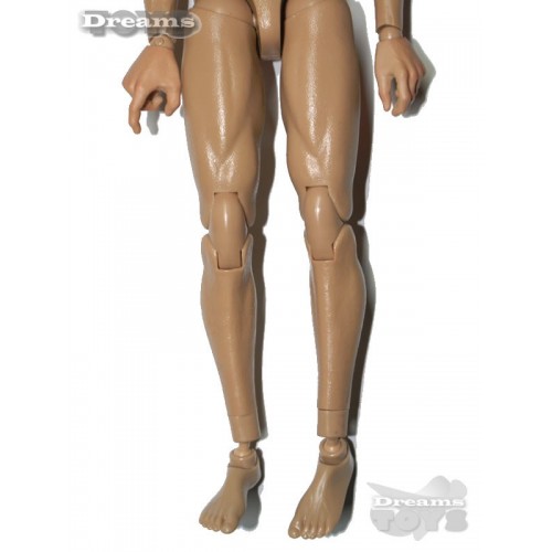 1/6 Cuerpo Dam Toys