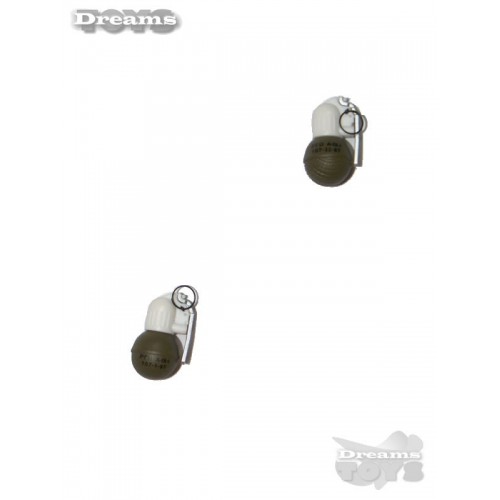 1/6 Par de granadas RNG Dam Toys