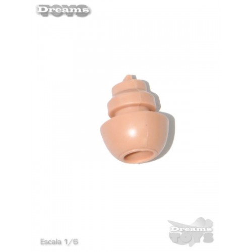 1/6 Adaptador Cuello Ant Nest