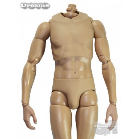 1/6 Cuerpo HG DID