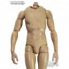 1/6 Cuerpo HG DID