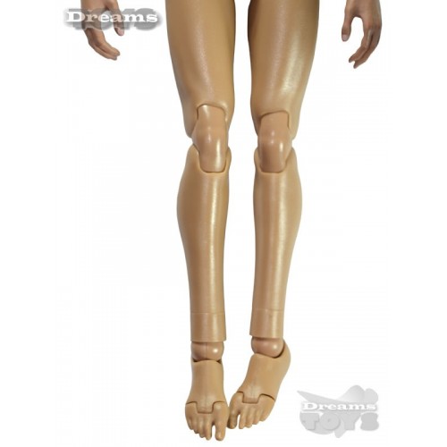 1/6 Cuerpo HG DID