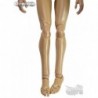 1/6 Cuerpo HG DID