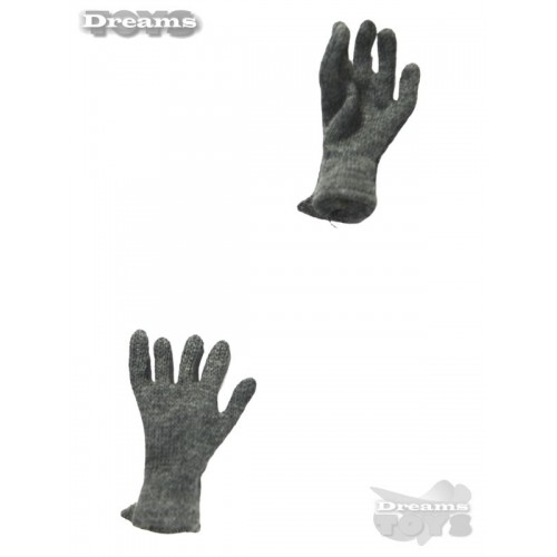 1/6 Par de Guantes Grises en Tela DID