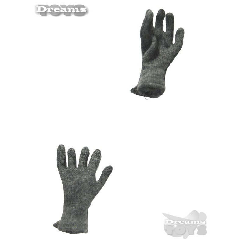 1/6 Par de Guantes Grises en Tela DID
