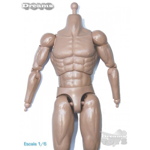 1/6 Cuerpo Dam Toys