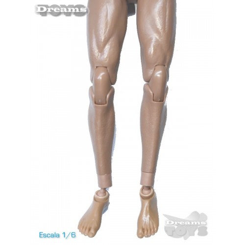 1/6 Cuerpo Dam Toys
