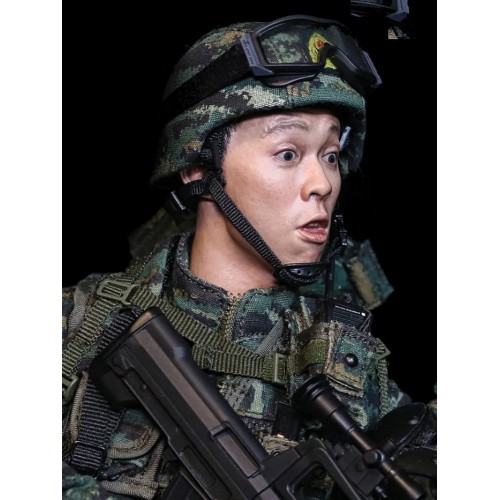 1/6 SP-002 Expression Head – Asian Surprised