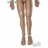 1/6 Cuerpo Modeling