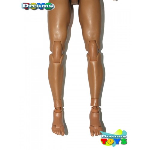 1/6 Cuerpo Minitimes