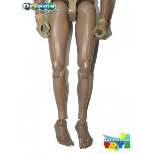 1/6 Cuerpo Flagset