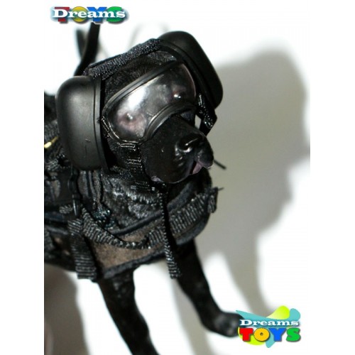 1/6 Set Dog Halo Minitimes
