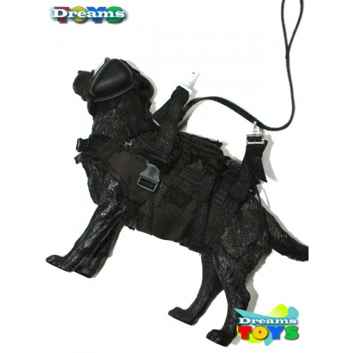 1/6 Set Dog Halo Minitimes