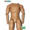 1/6 Cuerpo Minitimes