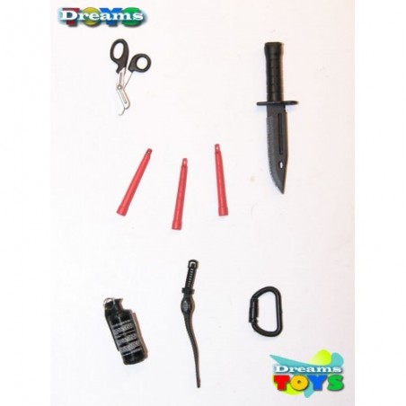 1/6 Accesorios Varios Flagset