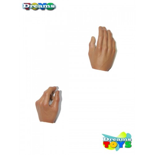 1/6 Par de manos DAM Toys