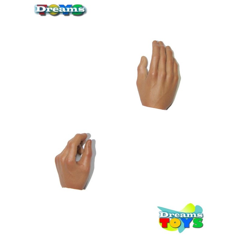 1/6 Par de manos DAM Toys