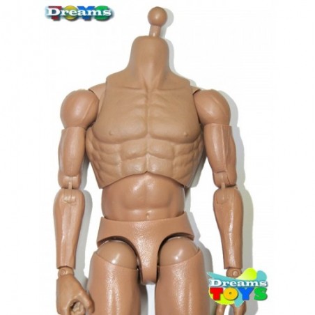 1/6 Cuerpo DAM Toys