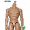1/6 Cuerpo DAM Toys