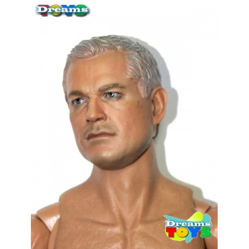 1/6 Cabeza Dane Dam Toys