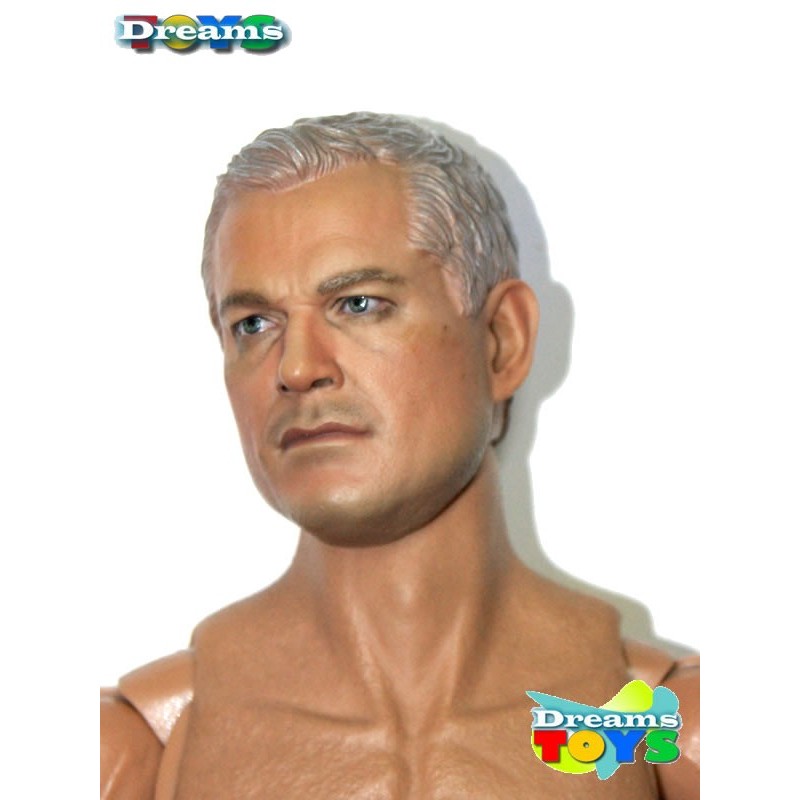 1/6 Cabeza Dane Dam Toys