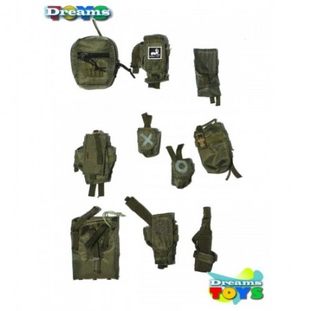 1/6 Set pouchs verdes Flagset