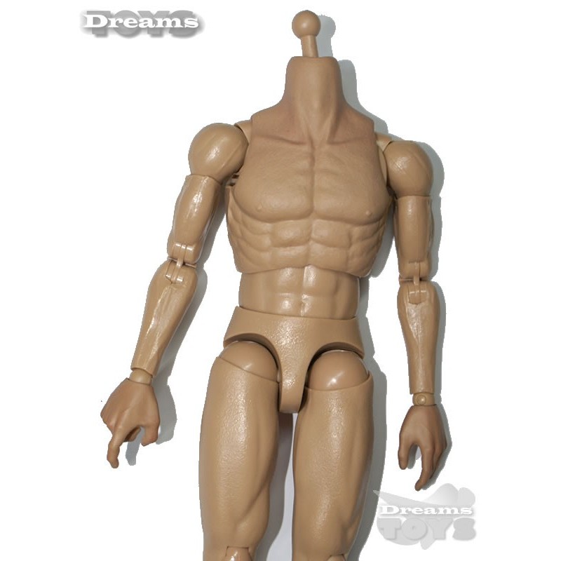 1/6 Cuerpo  Dam Toys