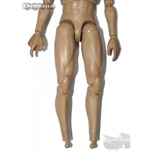 1/6 Cuerpo  Dam Toys