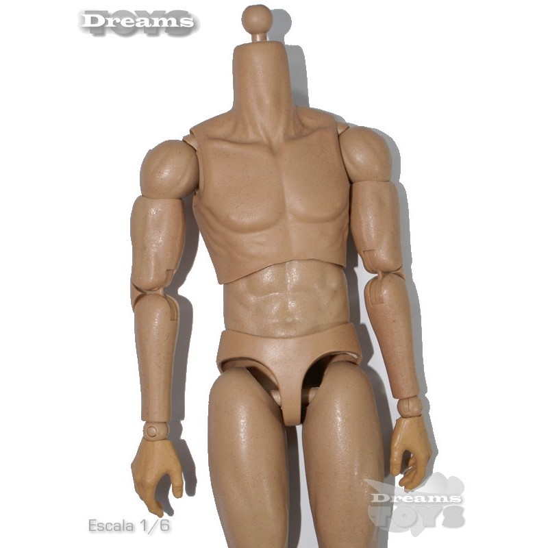 1/6 Cuerpo Easy & Simple