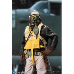 1/6 WWII United States Army Air Forces Pilot - Captain Rafe