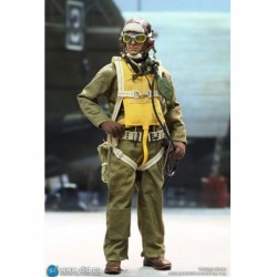 1/6 WWII United States Army Air Forces Pilot - Captain Rafe