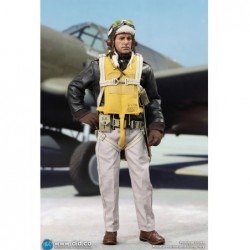 1/6 WWII United States Army Air Forces Pilot - Captain Rafe