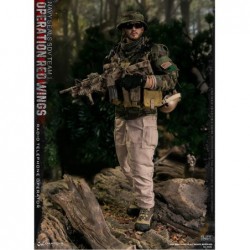 1/6 Operation Red Wings...