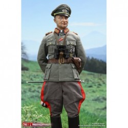 1/6 WWII German General Field Marshal - Walter Model