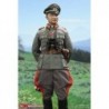 1/6 WWII German General Field Marshal - Walter Model