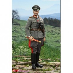 1/6 WWII German General Field Marshal - Walter Model