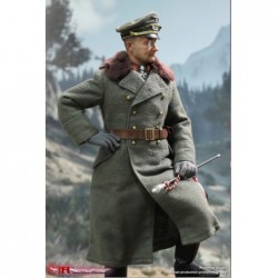 1/6 WWII German General Field Marshal - Walter Model