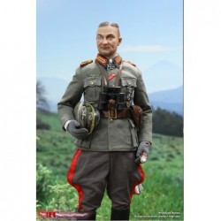 1/6 WWII German General Field Marshal - Walter Model